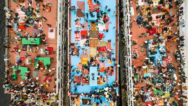 Plongée dans les mangroves : explorez le rôle essentiel de ces écosystèmes pour la protection de nos côtes